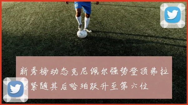 新秀榜动态克尼佩尔强势登顶弗拉格紧随其后哈珀跃升至第六位